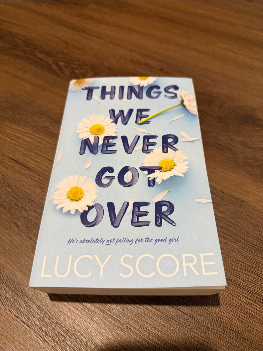 'Things We Never Got Over' novel
